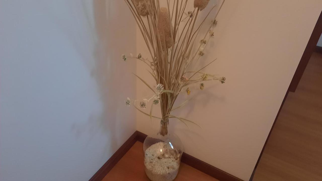 Ana Paula House Apartment Aveiro Ngoại thất bức ảnh